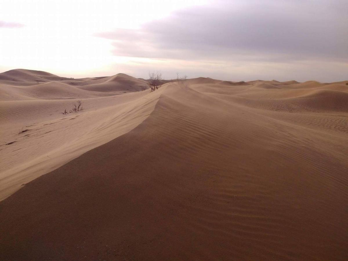 Tinfou Desert Camp بريا المظهر الخارجي الصورة