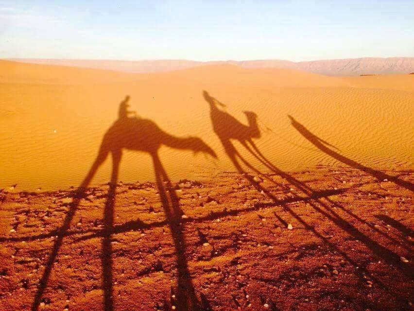 Tinfou Desert Camp بريا المظهر الخارجي الصورة