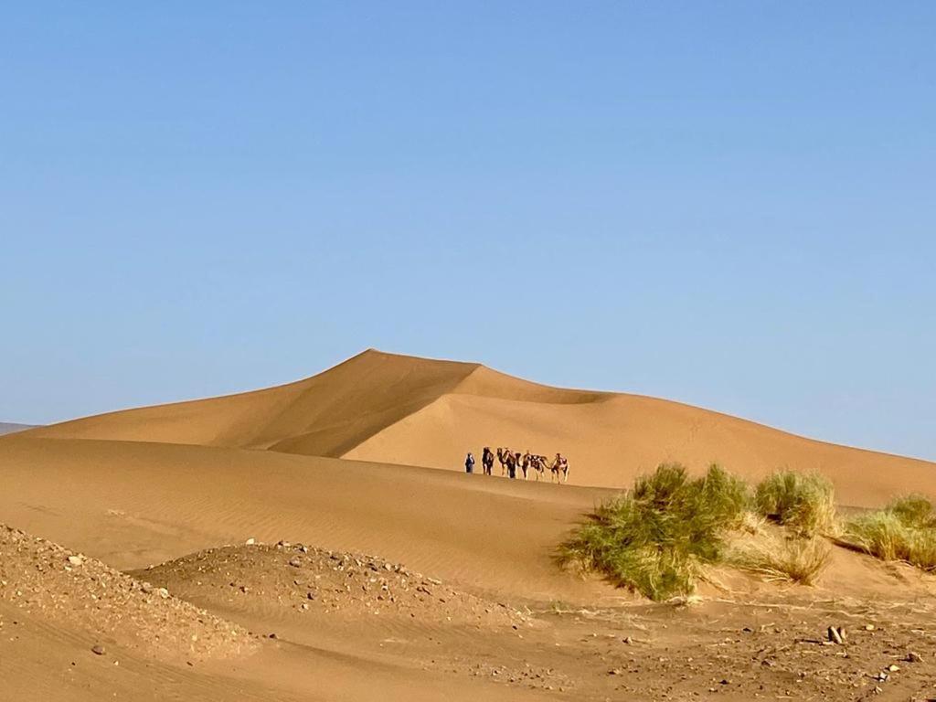 Tinfou Desert Camp بريا المظهر الخارجي الصورة