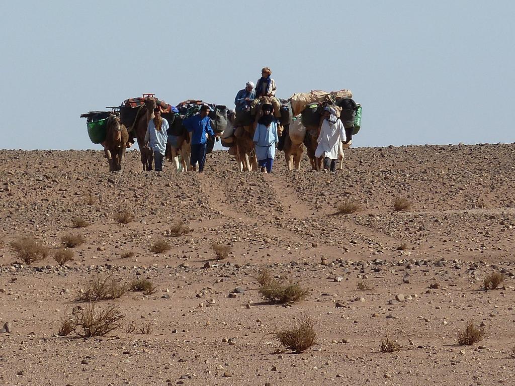 Tinfou Desert Camp بريا المظهر الخارجي الصورة